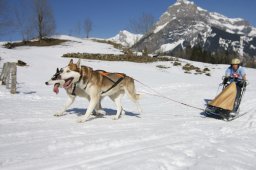 Kandersteg 2011