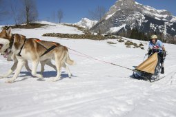 Kandersteg 2011