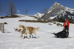 Kandersteg 2011