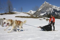 Kandersteg 2011