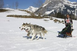 Kandersteg 2011