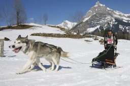 Kandersteg 2011