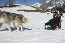 Kandersteg 2011