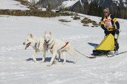 Kandersteg 2011