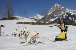 Kandersteg 2011