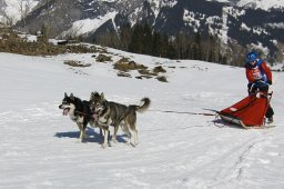 Kandersteg 2011