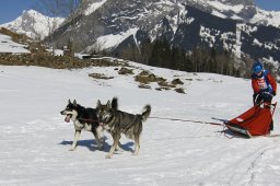 Kandersteg 2011