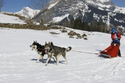 Kandersteg 2011