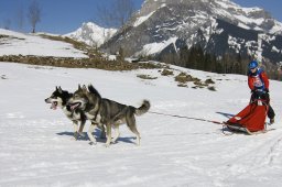 Kandersteg 2011