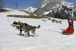 Kandersteg 2011