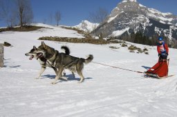 Kandersteg 2011