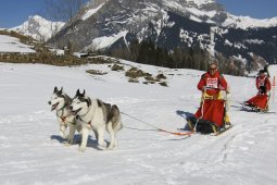 Kandersteg 2011