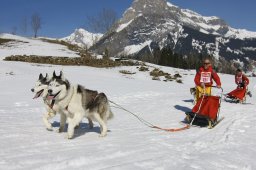 Kandersteg 2011