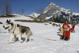 Kandersteg 2011