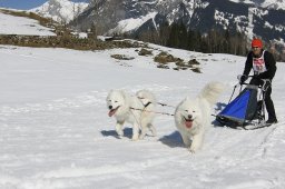 Kandersteg 2011