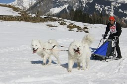 Kandersteg 2011