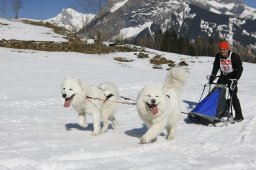 Kandersteg 2011