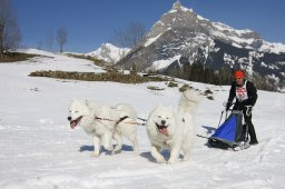 Kandersteg 2011