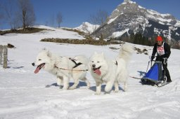 Kandersteg 2011