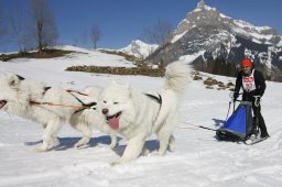 Kandersteg 2011