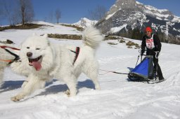 Kandersteg 2011