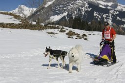 Kandersteg 2011