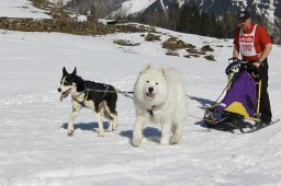 Kandersteg 2011