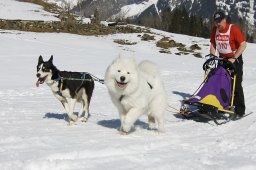 Kandersteg 2011