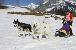 Kandersteg 2011