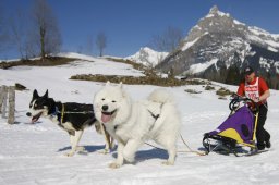 Kandersteg 2011