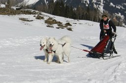 Kandersteg 2011