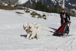 Kandersteg 2011