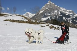 Kandersteg 2011