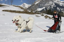 Kandersteg 2011