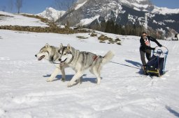 Kandersteg 2011