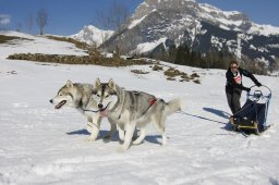 Kandersteg 2011