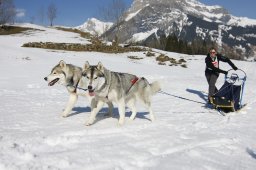 Kandersteg 2011