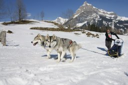 Kandersteg 2011