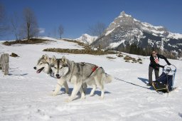 Kandersteg 2011