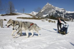 Kandersteg 2011