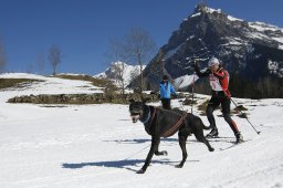 Kandersteg 2011