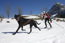 Kandersteg 2011