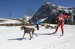 Kandersteg 2011