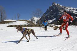 Kandersteg 2011