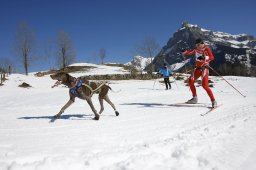 Kandersteg 2011