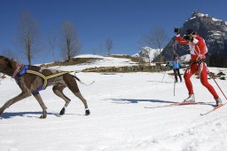 Kandersteg 2011