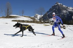 Kandersteg 2011