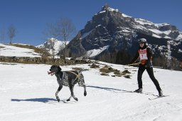 Kandersteg 2011