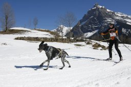 Kandersteg 2011