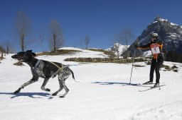 Kandersteg 2011